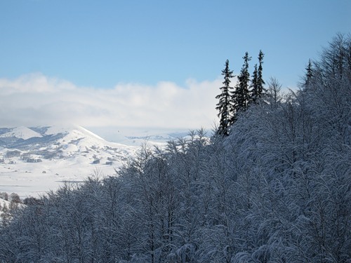 Гора Савин-Кук на зимнем курорте Черногории - Жабляк. Фото: Яндекс.Фотки, egpavel